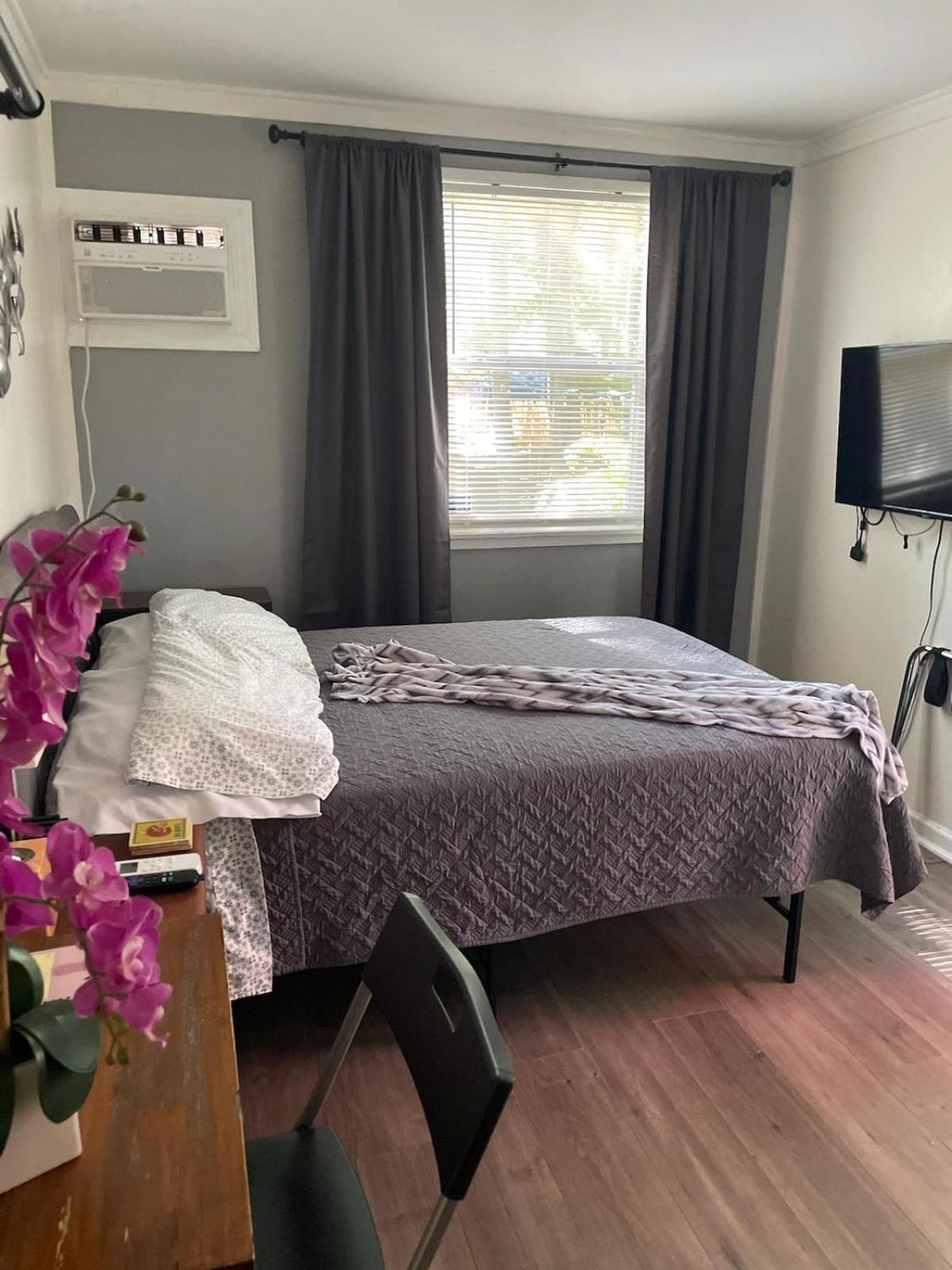 Lovely Studio Apartment With Kitchenette. タンパ エクステリア 写真